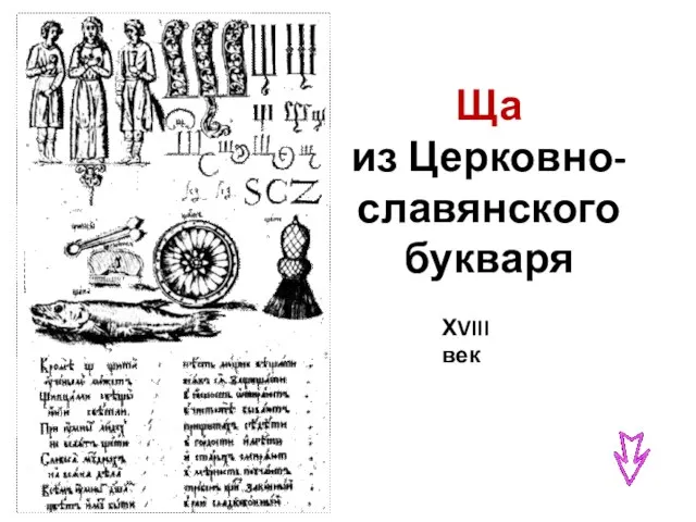 Ща из Церковно-славянского букваря ХVIII век