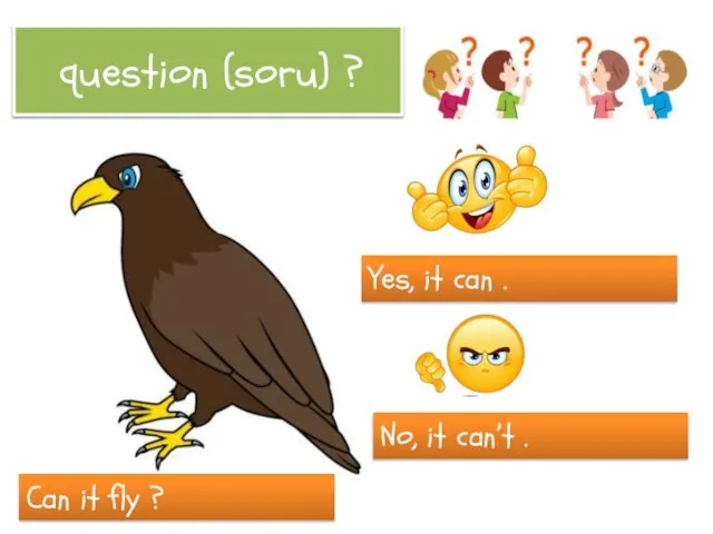 question (soru) ? Can it fly ? Yes, it can . No, it can’t .