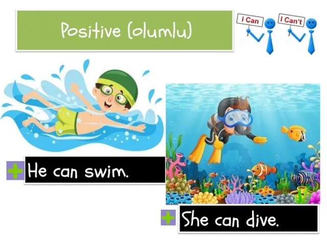 Positive (olumlu) He can swim. She can dive.
