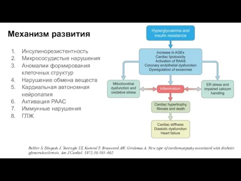 Механизм развития Инсулинорезистентность Микрососудистые нарушения Аномалии формирования клеточных структур Нарушение обмена веществ