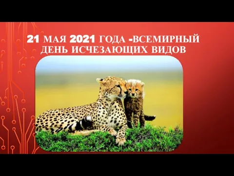 21 МАЯ 2021 ГОДА -ВСЕМИРНЫЙ ДЕНЬ ИСЧЕЗАЮЩИХ ВИДОВ