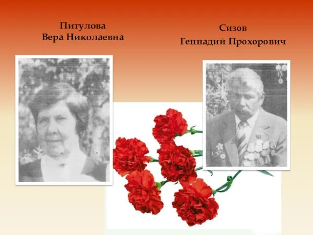Питулова Вера Николаевна Сизов Геннадий Прохорович