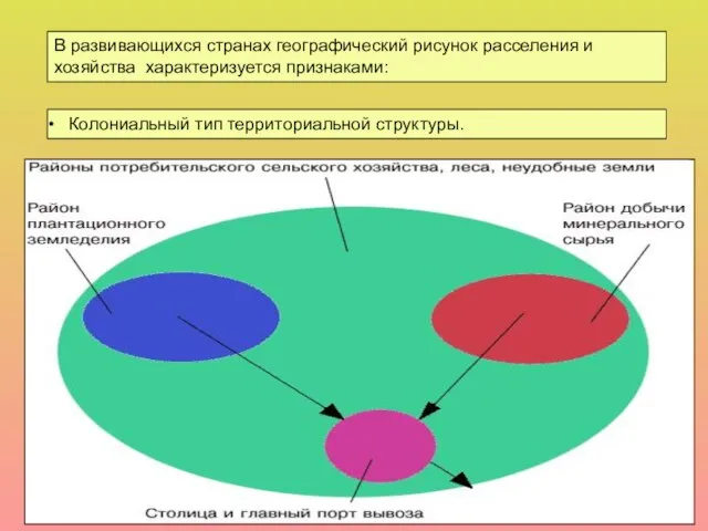 В развивающихся странах географический рисунок расселения и хозяйства характеризуется признаками: Колониальный тип