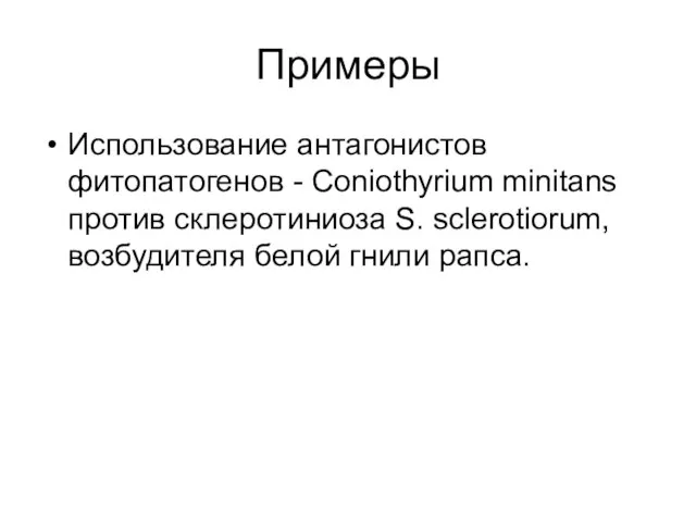 Примеры Использование антагонистов фитопатогенов - Coniothyrium minitans против склеротиниоза S. sclerotiorum, возбудителя белой гнили рапса.