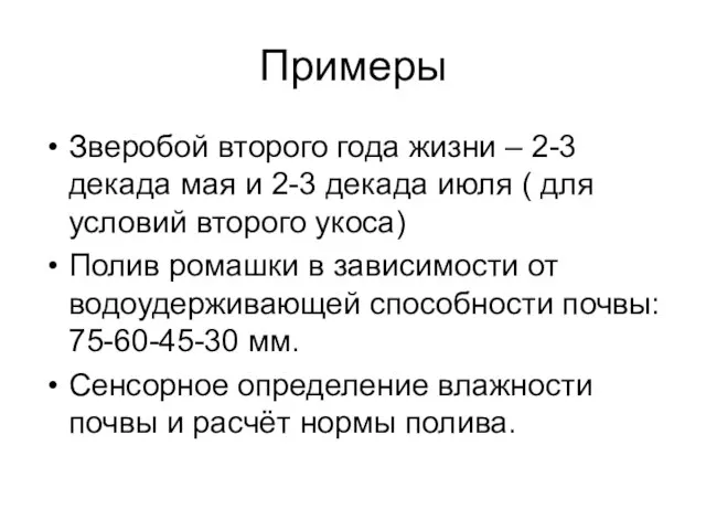 Примеры Зверобой второго года жизни – 2-3 декада мая и 2-3 декада