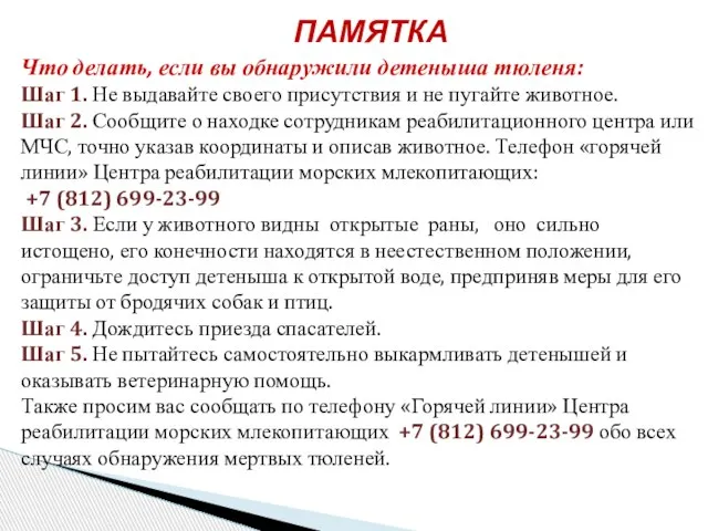 Что делать, если вы обнаружили детеныша тюленя: Шаг 1. Не выдавайте своего