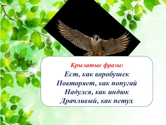 Ест, как воробушек Повторяет, как попугай Надулся, как индюк Драчливый, как петух