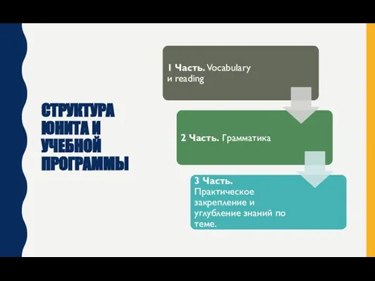 СТРУКТУРА ЮНИТА И УЧЕБНОЙ ПРОГРАММЫ