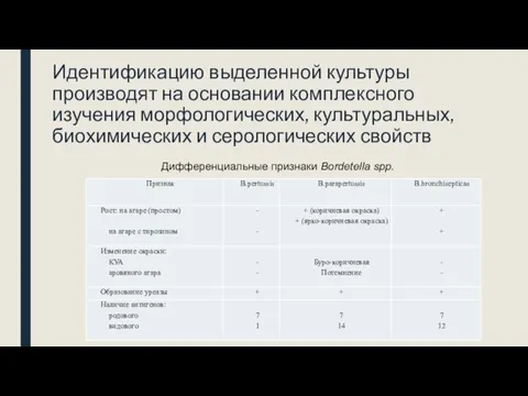 Идентификацию выделенной культуры производят на основании комплексного изучения морфологических, культуральных, биохимических и