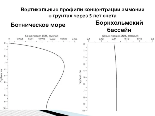 Вертикальные профили концентрации аммония в грунтах через 5 лет счета Ботническое море Борнхольмский бассейн