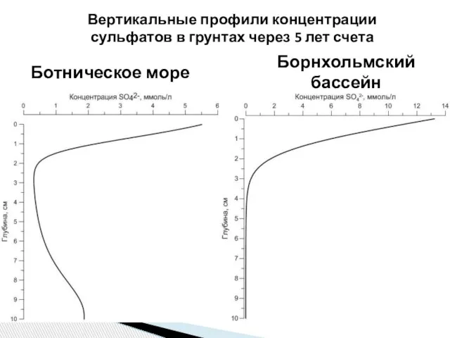 Ботническое море Борнхольмский бассейн Вертикальные профили концентрации сульфатов в грунтах через 5 лет счета
