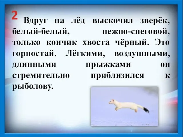 Вдруг на лёд выскочил зверёк, белый-белый, нежно-снеговой, только кончик хвоста чёрный. Это