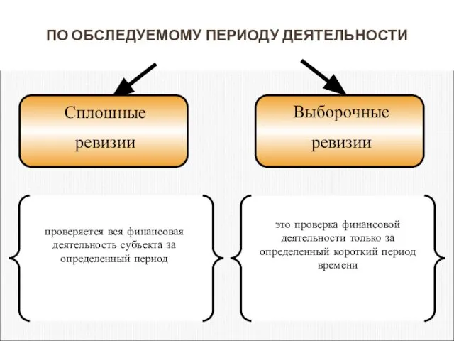 ПО ОБСЛЕДУЕМОМУ ПЕРИОДУ ДЕЯТЕЛЬНОСТИ