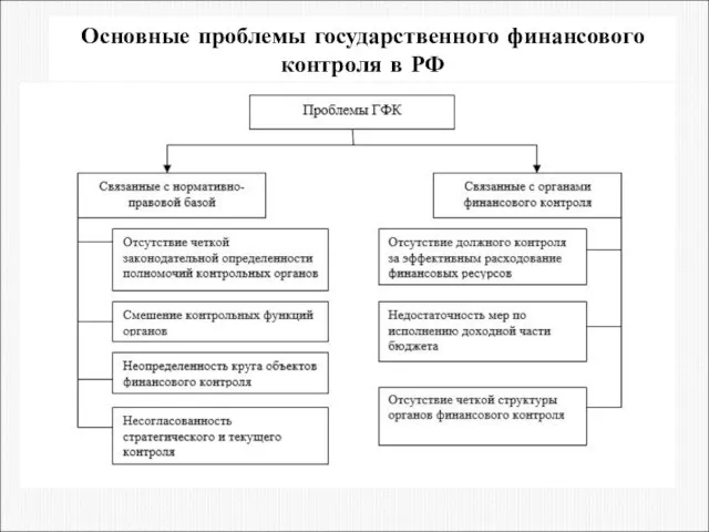 Основные проблемы государственного финансового контроля в РФ