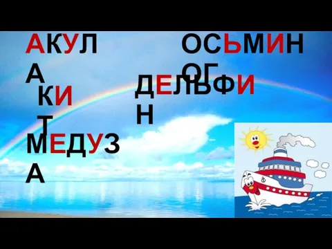 АКУЛА КИТ ОСЬМИНОГ МЕДУЗА ДЕЛЬФИН