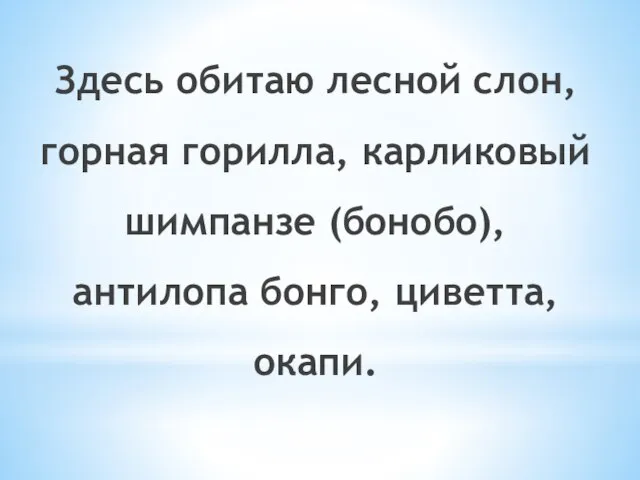 Здесь обитаю лесной слон, горная горилла, карликовый шимпанзе (бонобо), антилопа бонго, циветта, окапи.