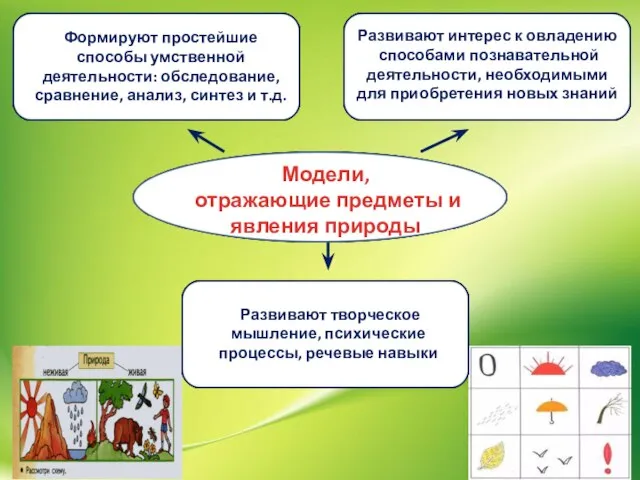 Модели, отражающие предметы и явления природы Развивают интерес к овладению способами познавательной