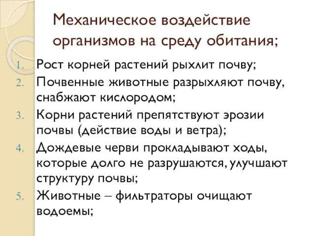 Механическое воздействие организмов на среду обитания; Рост корней растений рыхлит почву; Почвенные