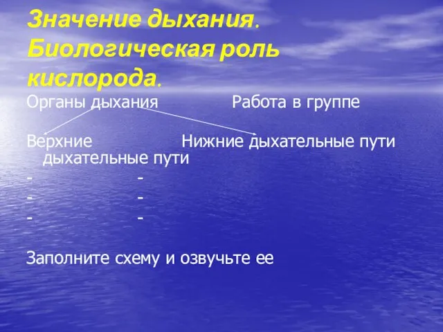 Органы дыхания Работа в группе Верхние Нижние дыхательные пути дыхательные пути -