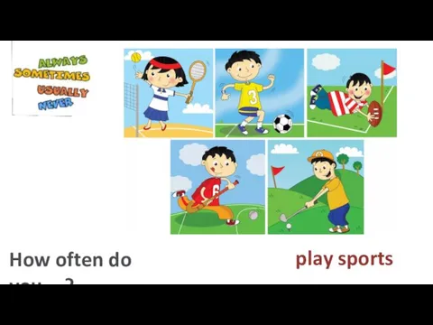 play sports How often do you…?