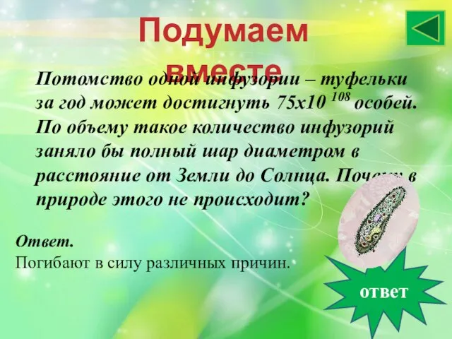 Подумаем вместе Потомство одной инфузории – туфельки за год может достигнуть 75х10