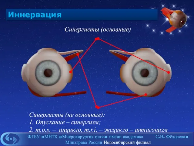 Иннервация Синергисты (основные) Синергисты (не основные): 1. Опускание – синергизм; 2. m.o.s.