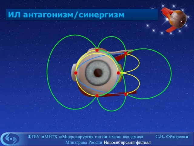 ИЛ антагонизм/синергизм