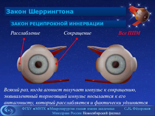 Закон Шеррингтона ЗАКОН РЕЦИПРОКНОЙ ИННЕРВАЦИИ Сокращение Расслабление Всякий раз, когда агонист получает