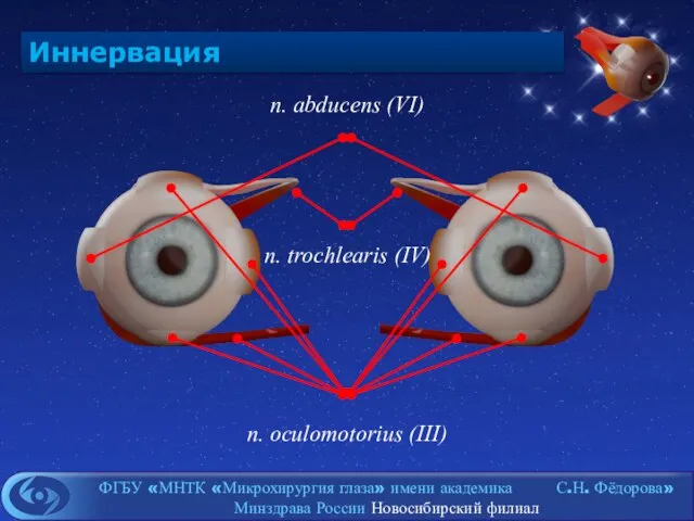 Иннервация n. abducens (VI) n. trochlearis (IV) n. oculomotorius (III)