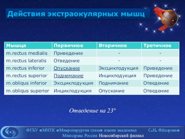 Действия экстраокулярных мышц Отведение на 23°