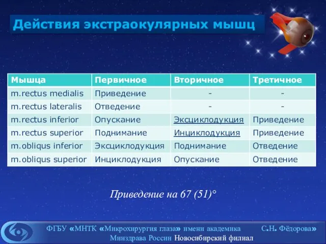 Действия экстраокулярных мышц Приведение на 67 (51)°