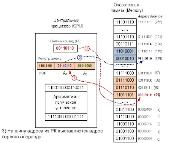 3) На шину адреса из РК выставляется адрес первого операнда.