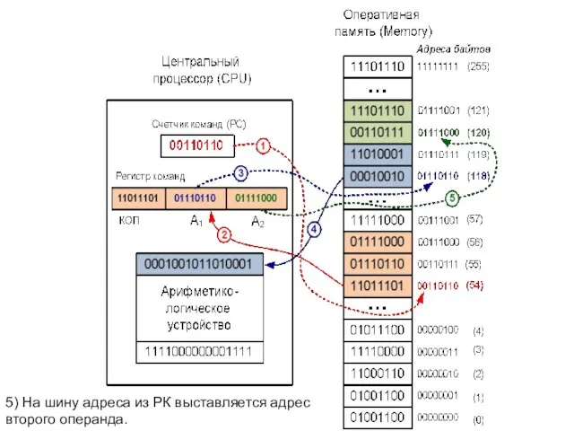 5) На шину адреса из РК выставляется адрес второго операнда.