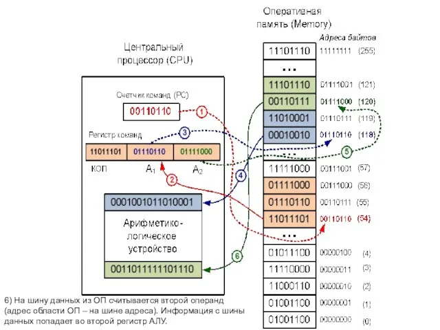 6) На шину данных из ОП считывается второй операнд (адрес области ОП