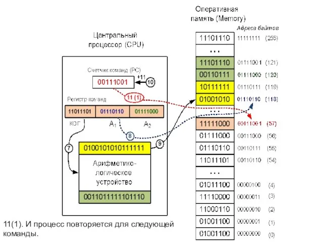 11(1). И процесс повторяется для следующей команды.