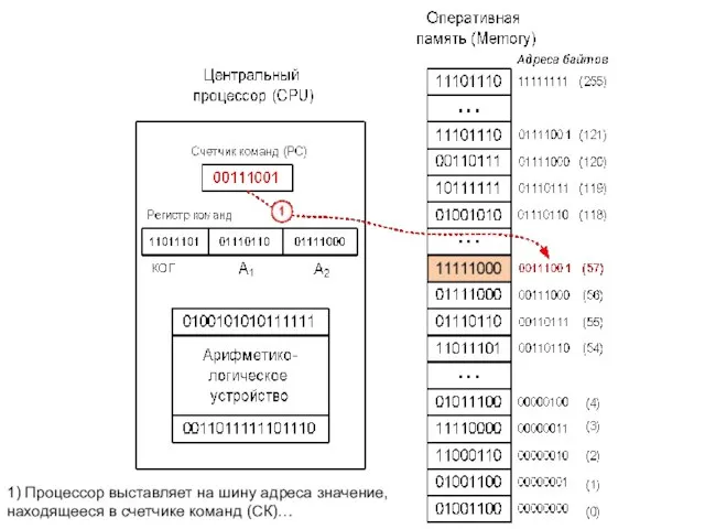 1) Процессор выставляет на шину адреса значение, находящееся в счетчике команд (СК)…