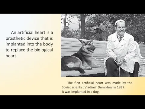 The first artificial heart was made by the Soviet scientist Vladimir Demikhov