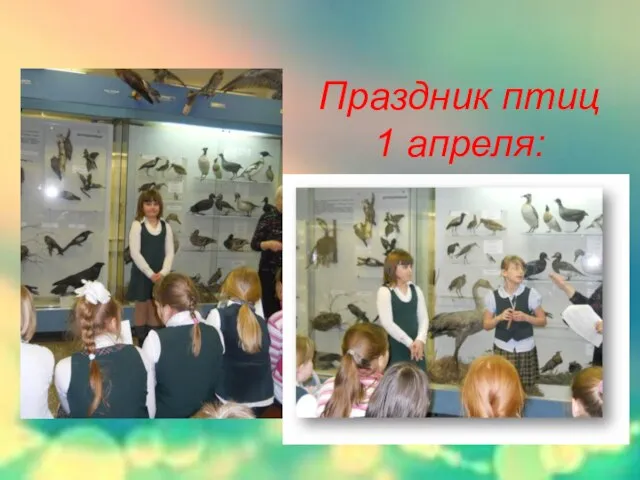 Праздник птиц 1 апреля: