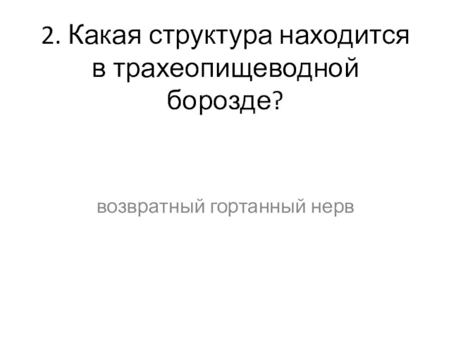 2. Какая структура находится в трахеопищеводной борозде? возвратный гортанный нерв