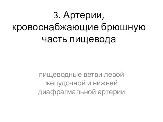 3. Артерии, кровоснабжающие брюшную часть пищевода пищеводные ветви левой желудочной и нижней диафрагмальной артерии