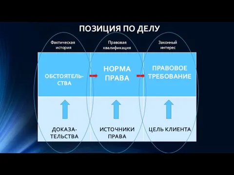 ПОЗИЦИЯ ПО ДЕЛУ Фактическая история Правовая квалификация Законный интерес