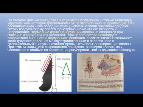 По законам физики при вдохе НК стремится к спадению, и только благодаря