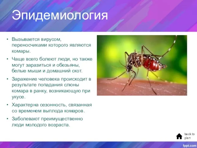 Эпидемиология Вызывается вирусом, переносчиками которого являются комары. Чаще всего болеют люди, но