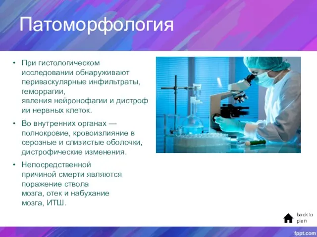 Патоморфология back to plan При гистологическом исследовании обнаруживают периваскулярные инфильтраты, геморрагии, явления