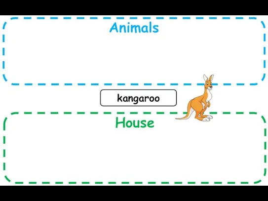 Animals House kangaroo