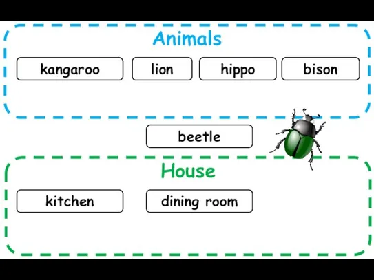 Animals House kangaroo lion kitchen hippo bison dining room beetle