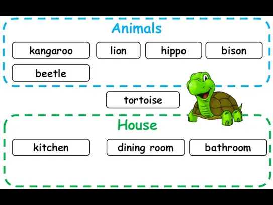 Animals House kangaroo lion kitchen hippo bison dining room beetle bathroom tortoise