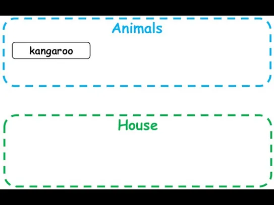 Animals House kangaroo