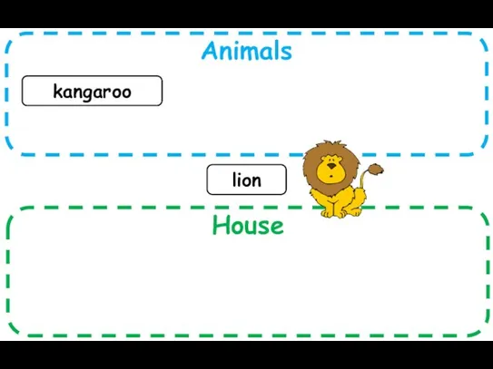 Animals House kangaroo lion