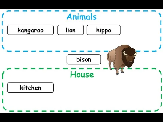 Animals House kangaroo lion kitchen hippo bison